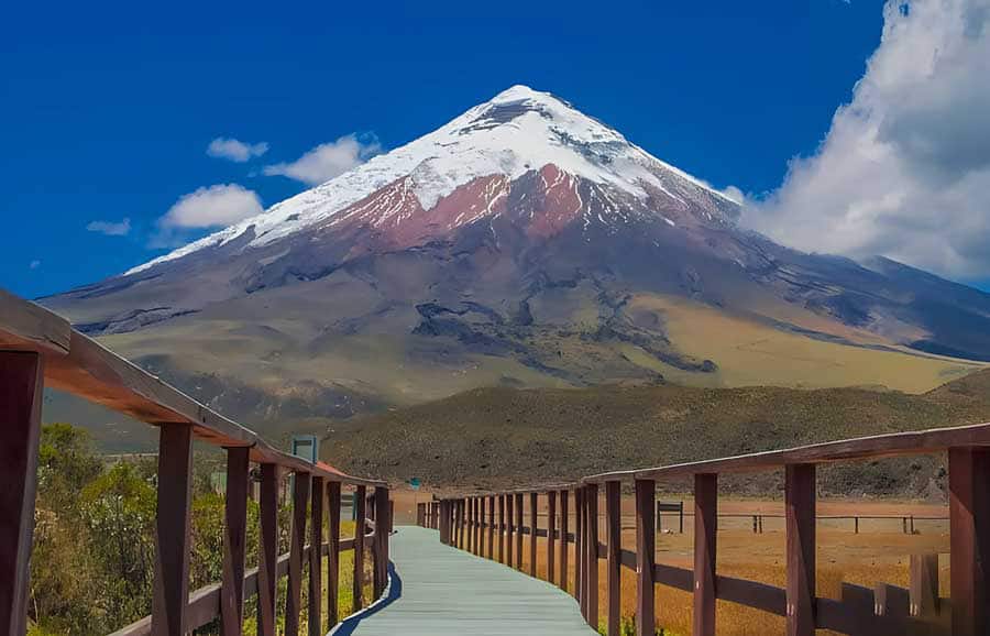 Snow-capped mountain with wooden walkway under blue sky