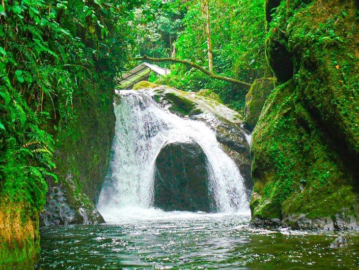 Beautiful waterfall surrounded by lush green rainforest